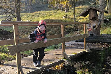 Obrázek č.66