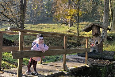 Obrázek č.69