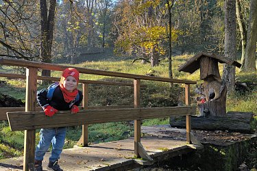 Obrázek č.70