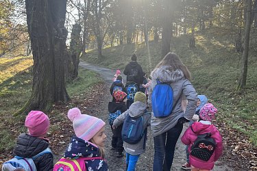 Obrázek č.31