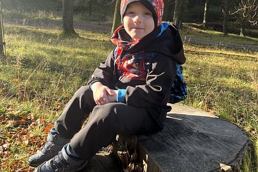 Obrázek č.16