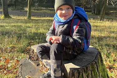 Obrázek č.21