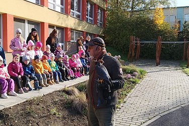 Obrázek č.56