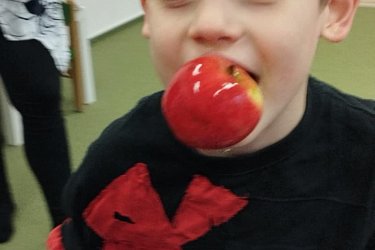 Obrázek č.55