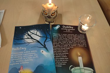 Obrázek č.15