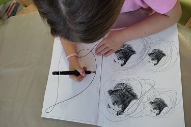 Obrázek č.123