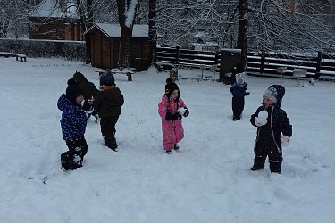 Obrázek č.21