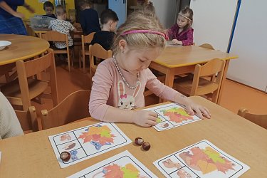 Obrázek č.26