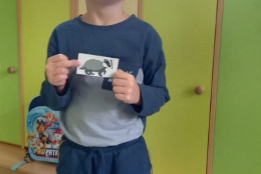 Obrázek č.41