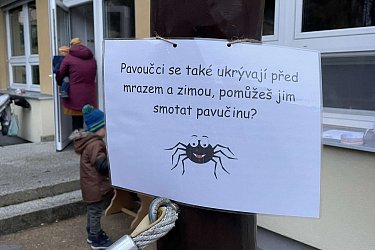 Obrázek č.29
