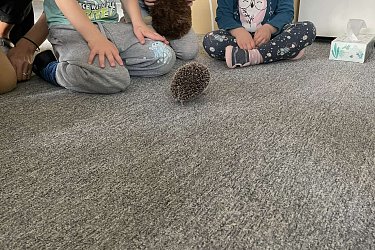 Obrázek č.23