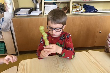 Obrázek č.11