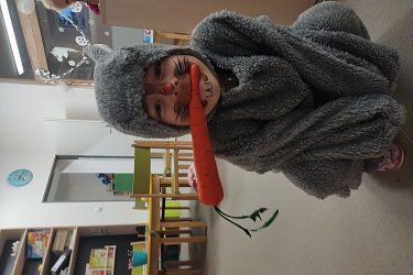 Obrázek č.27