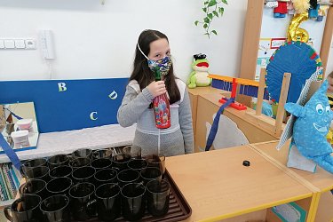 Obrázek č.31