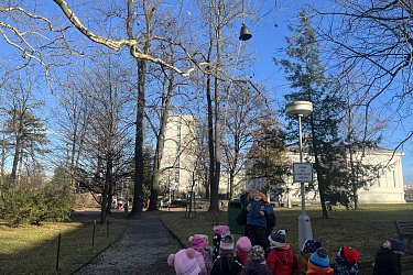 Obrázek č.101