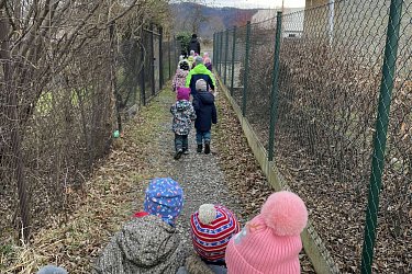 Obrázek č.65