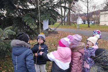 Obrázek č.6