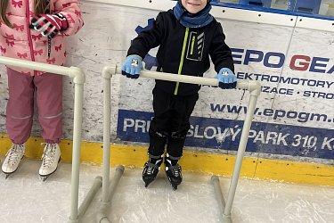 Obrázek č.98
