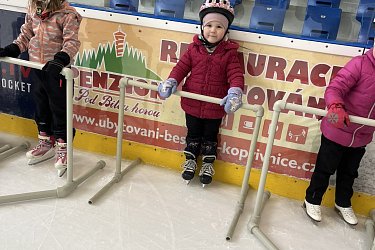 Obrázek č.97