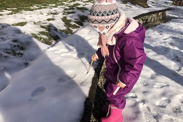 Obrázek č.86