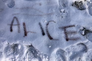 Obrázek č.91