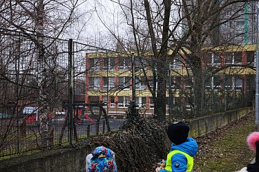 Obrázek č.50