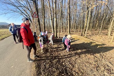 Obrázek č.80