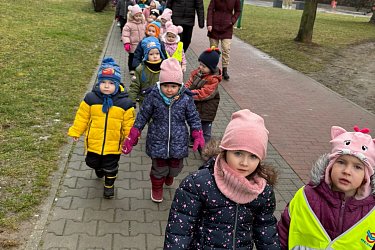 Obrázek č.66