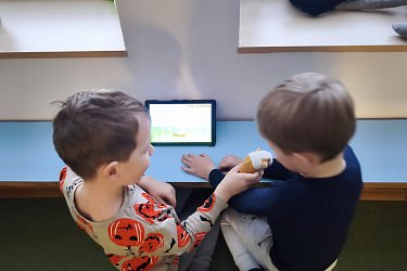Obrázek č.15