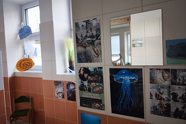 Obrázek č.8