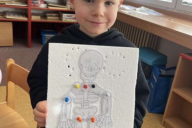 Obrázek č.26
