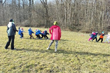Obrázek č.11