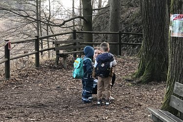 Obrázek č.15