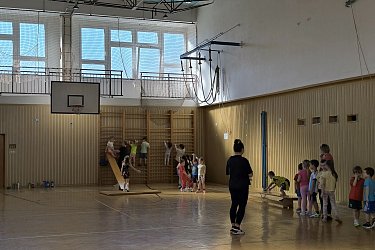 Obrázek č.53