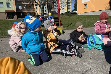 Obrázek č.80