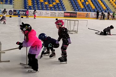 VČELKY BRUSLAŘI