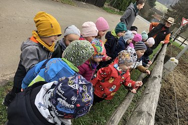 Obrázek č.56