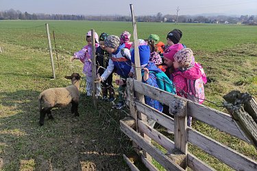 Obrázek č.30