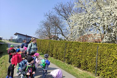 Obrázek č.29