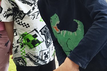 Obrázek č.48