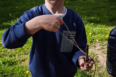 Obrázek č.63