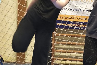 Obrázek č.103