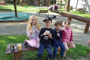 Obrázek č.26