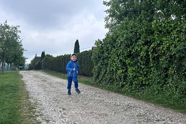Obrázek č.47