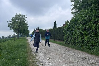Obrázek č.44