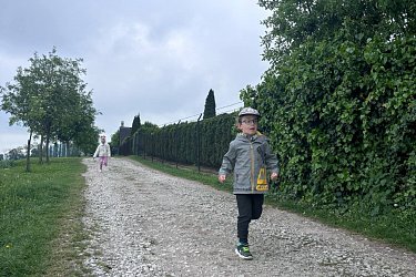 Obrázek č.42