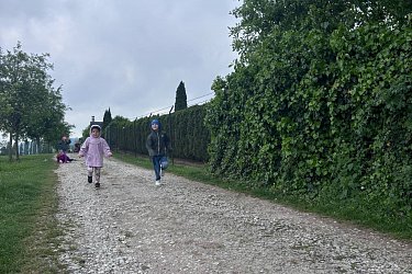 Obrázek č.32