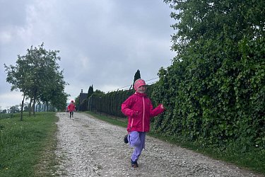 Obrázek č.40