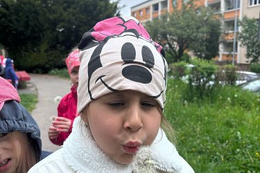 Obrázek č.4