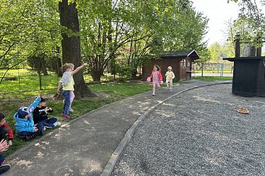Obrázek č.11